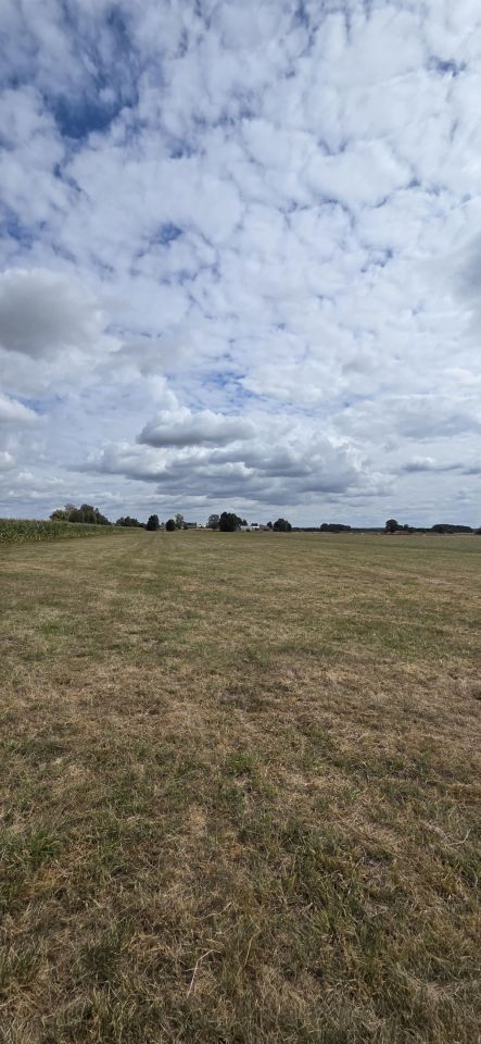 Działka rolna Pożarów. Zdjęcie 6