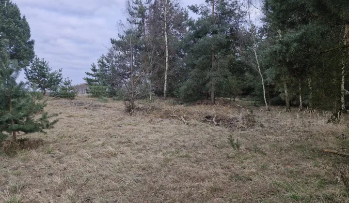 Działka budowlana Laski Małe