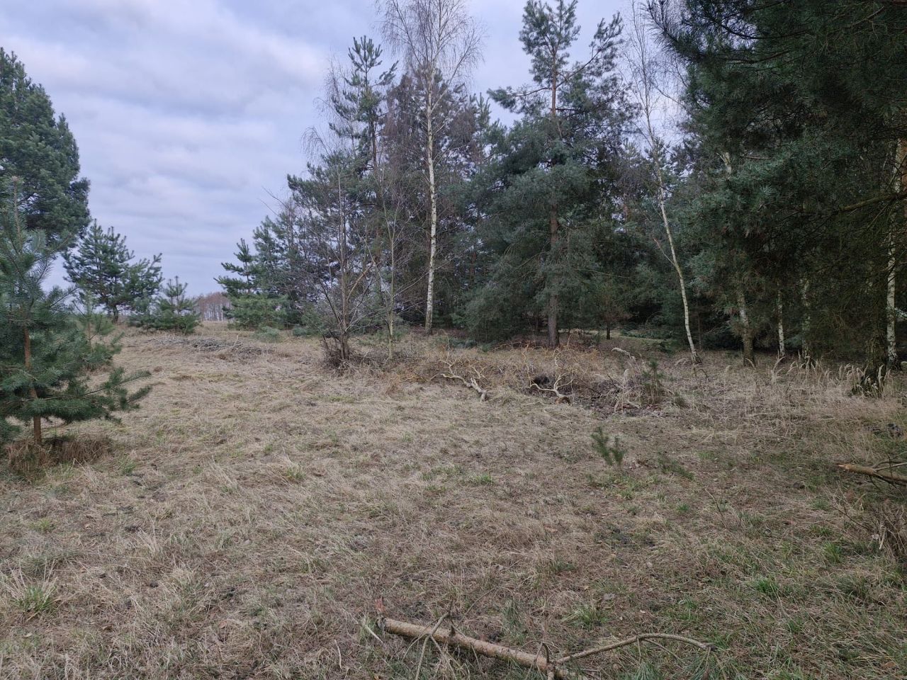 Działka budowlana Laski Małe. Zdjęcie 1