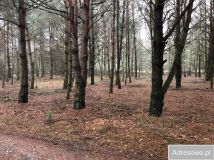 Działka rekreacyjna Basinów, ul. Stołeczna. Zdjęcie 1