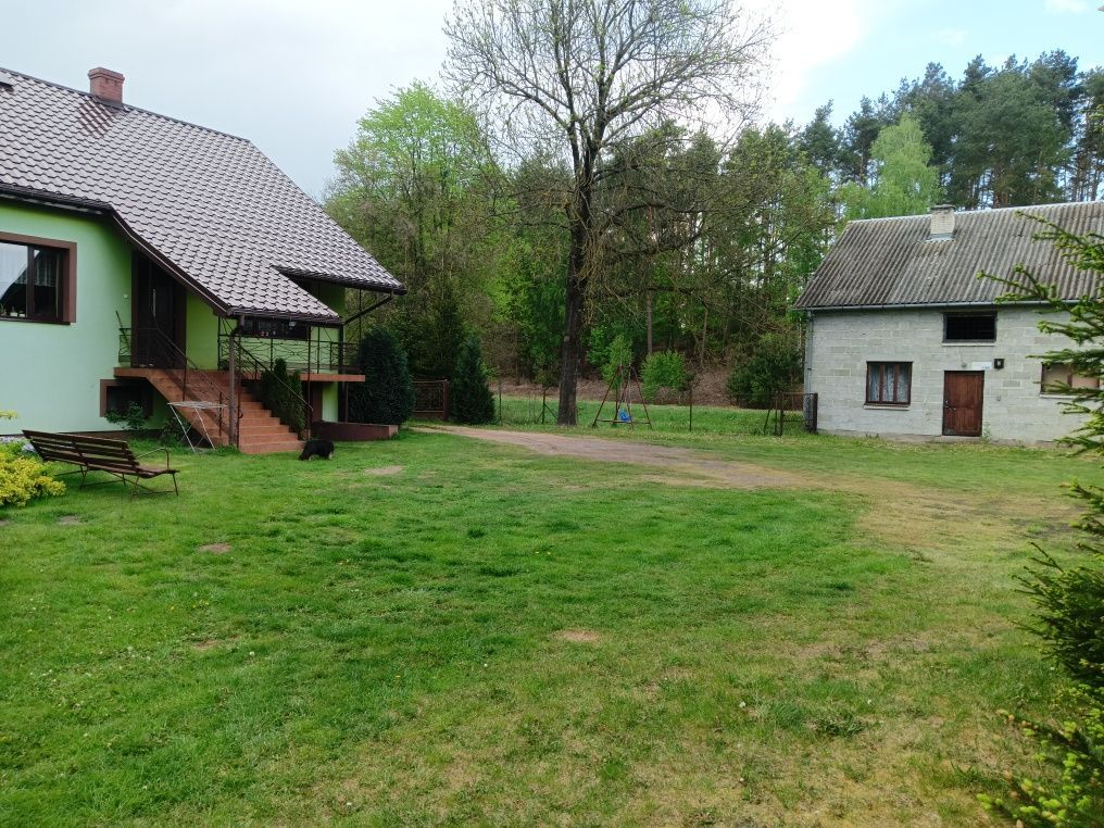 siedlisko Augustowo. Zdjęcie 7