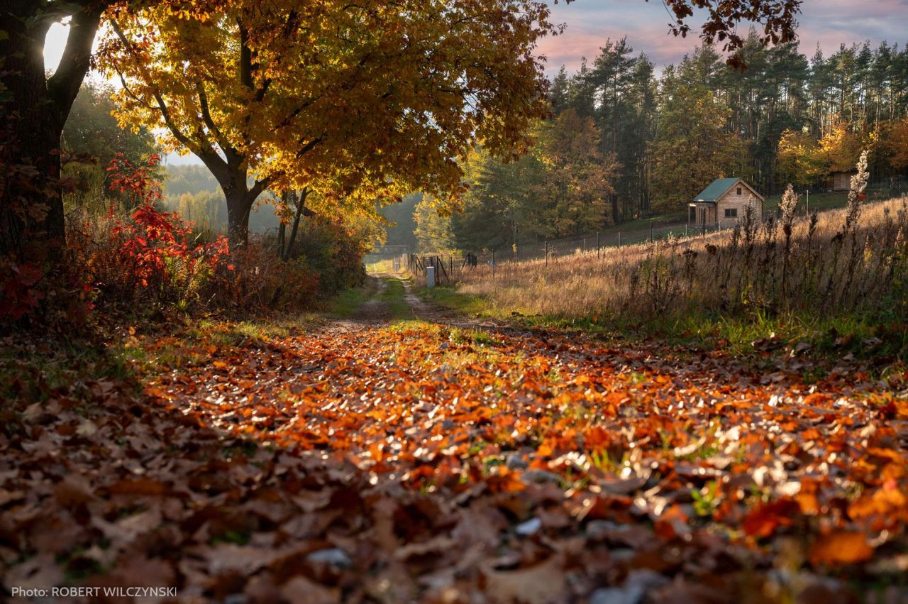 Działka budowlana Jeziórka. Zdjęcie 8