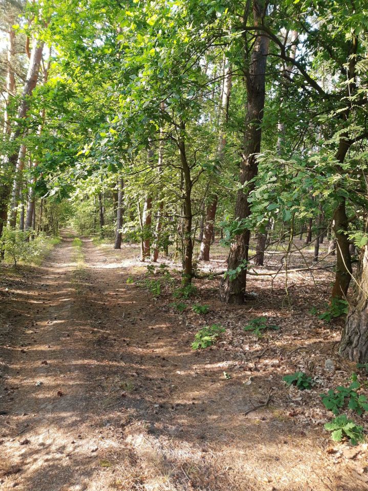 Działka budowlana Wilamy. Zdjęcie 7