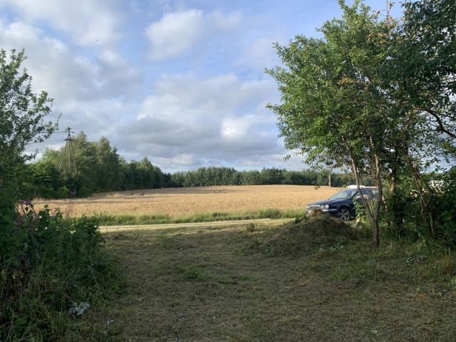 Działka budowlana Lisewo. Zdjęcie 1