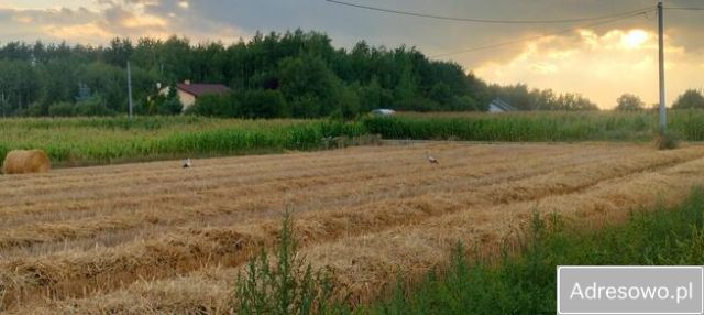 Działka budowlana Chełmica Mała. Zdjęcie 1