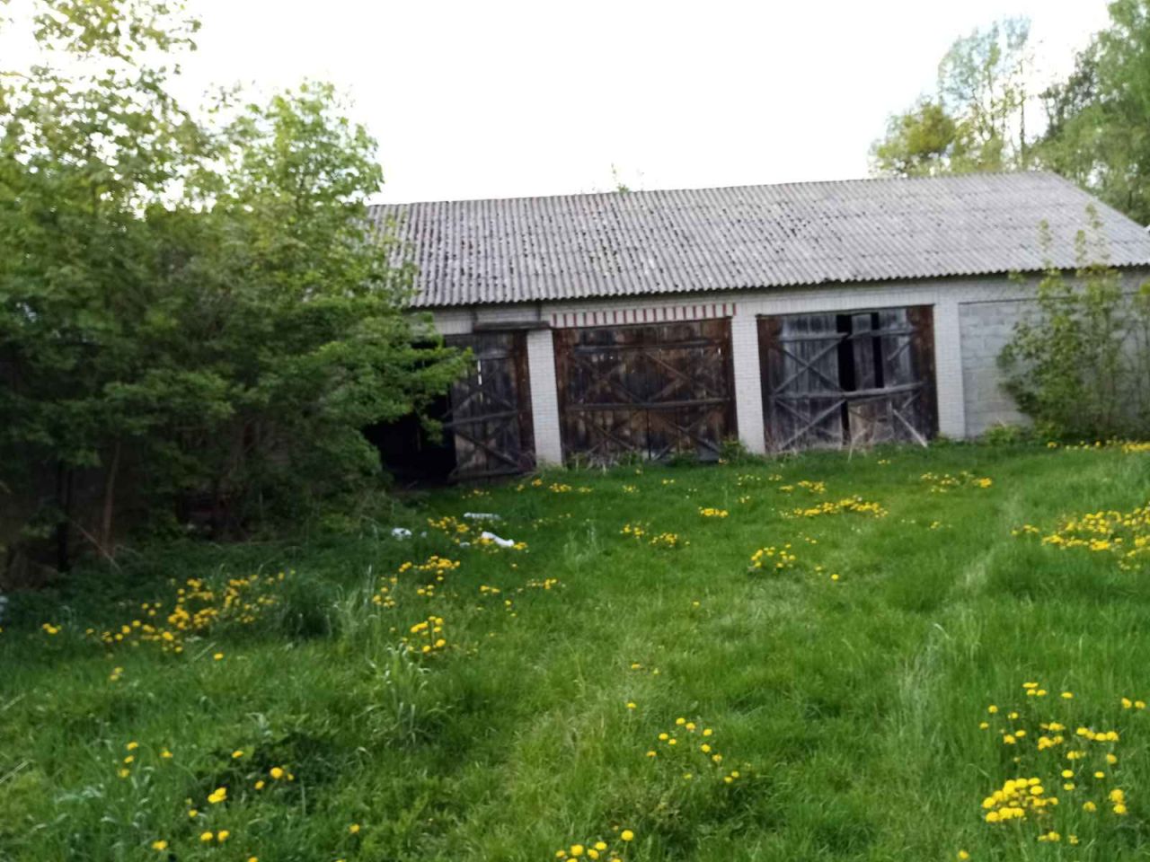 Działka rolno-budowlana Kisielsk. Zdjęcie 4