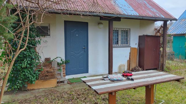 Działka rod Wilkszyn, ul. Wilkszyńska. Zdjęcie 1