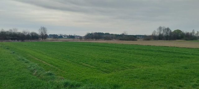Działka rolna Tarnobrzeg Mokrzyszów. Zdjęcie 1