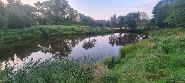 Działka rolna Wysokie. Zdjęcie 1