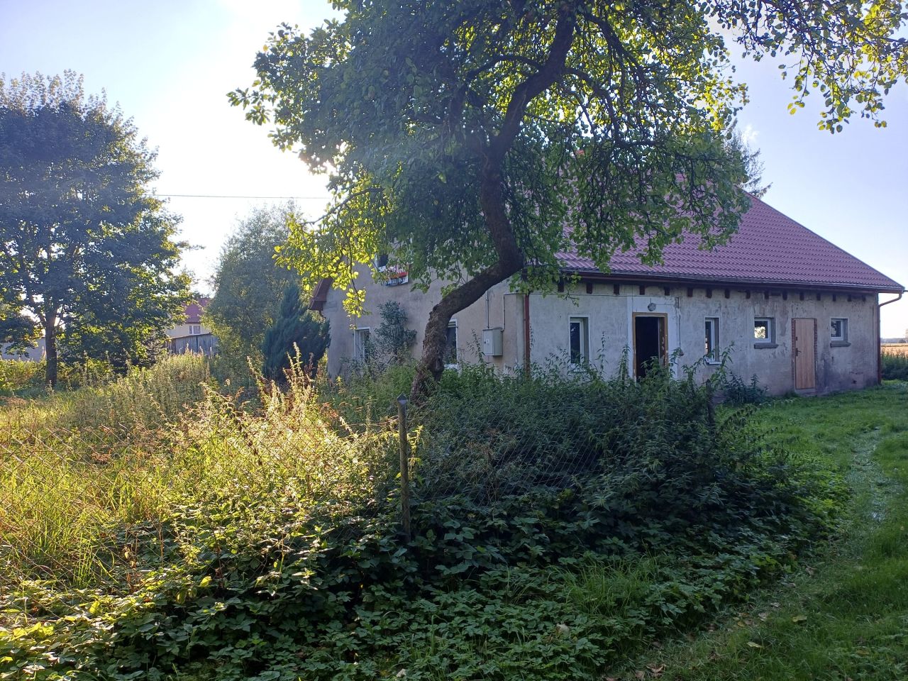 dom wolnostojący, 4 pokoje Grąbkowo. Zdjęcie 11