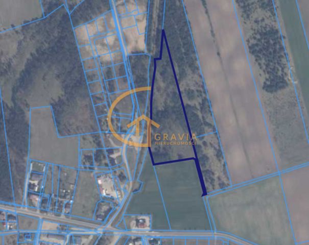 Działka leśna Linia, ul. Długa. Zdjęcie 7