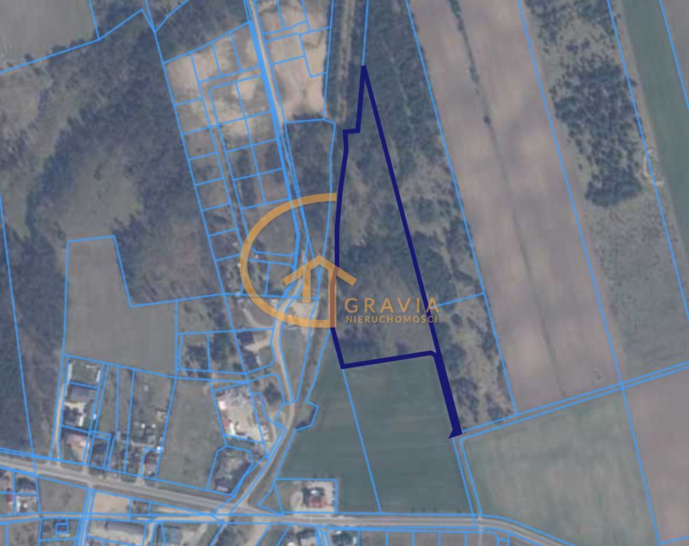 Działka leśna Linia, ul. Długa. Zdjęcie 7