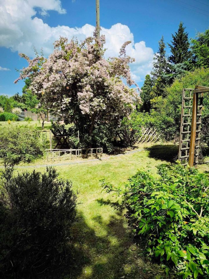 Działka rod Świdnica Łochowo. Zdjęcie 5