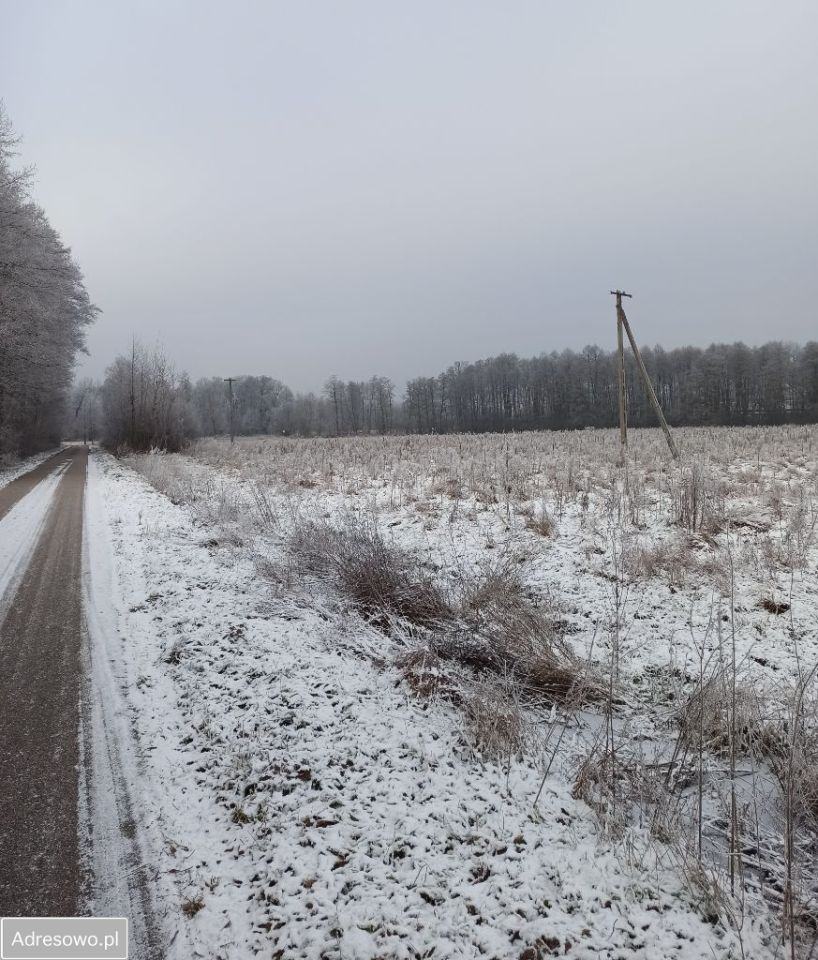 Działka rolna Żuków. Zdjęcie 5