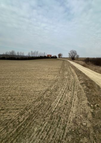 Działka inwestycyjna Krzemienica Nizioły. Zdjęcie 1