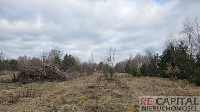 Działka budowlana Borzęcin Mały, ul. Kosmowska. Zdjęcie 3