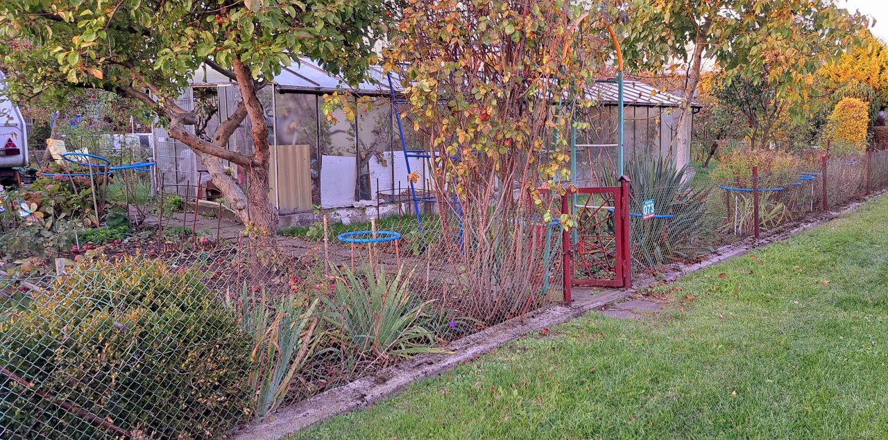 Działka rod Koszalin Centrum, ul. Mieszka I. Zdjęcie 8