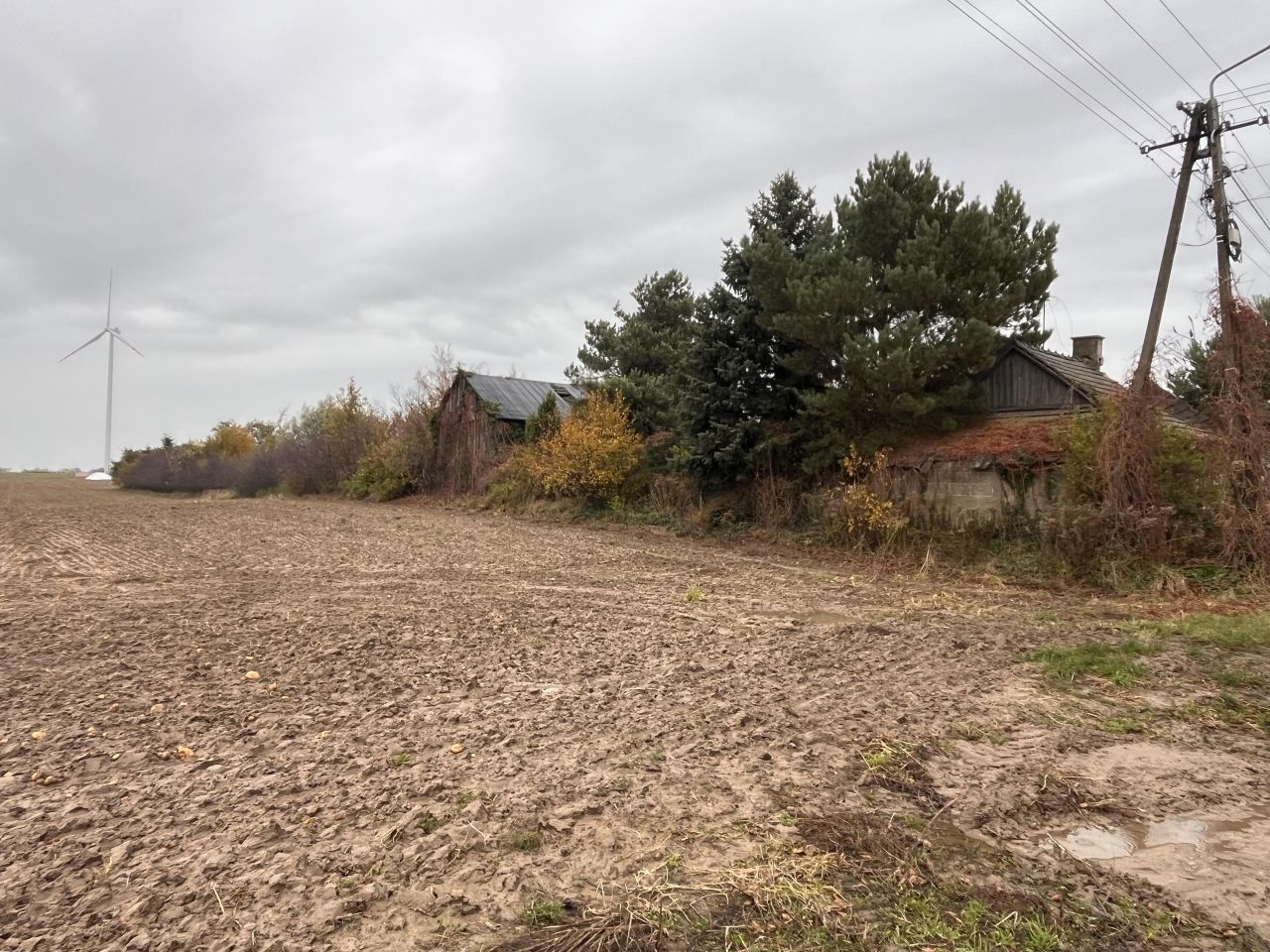 Działka rolno-budowlana Próchna. Zdjęcie 7