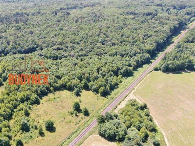Działka rolna Sińczyca. Zdjęcie 2