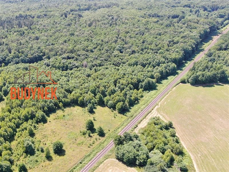 Działka rolna Sińczyca. Zdjęcie 2