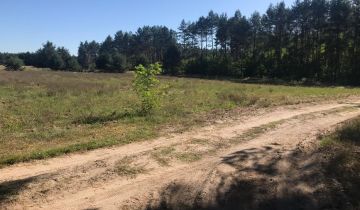 Działka siedliskowa Białcz, ul. Leśna