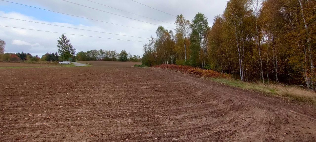 Działka rolna Donimierz. Zdjęcie 4