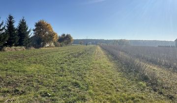 Działka rolno-budowlana Czekarzewice Drugie