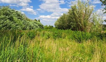 Działka rolna Barłogi