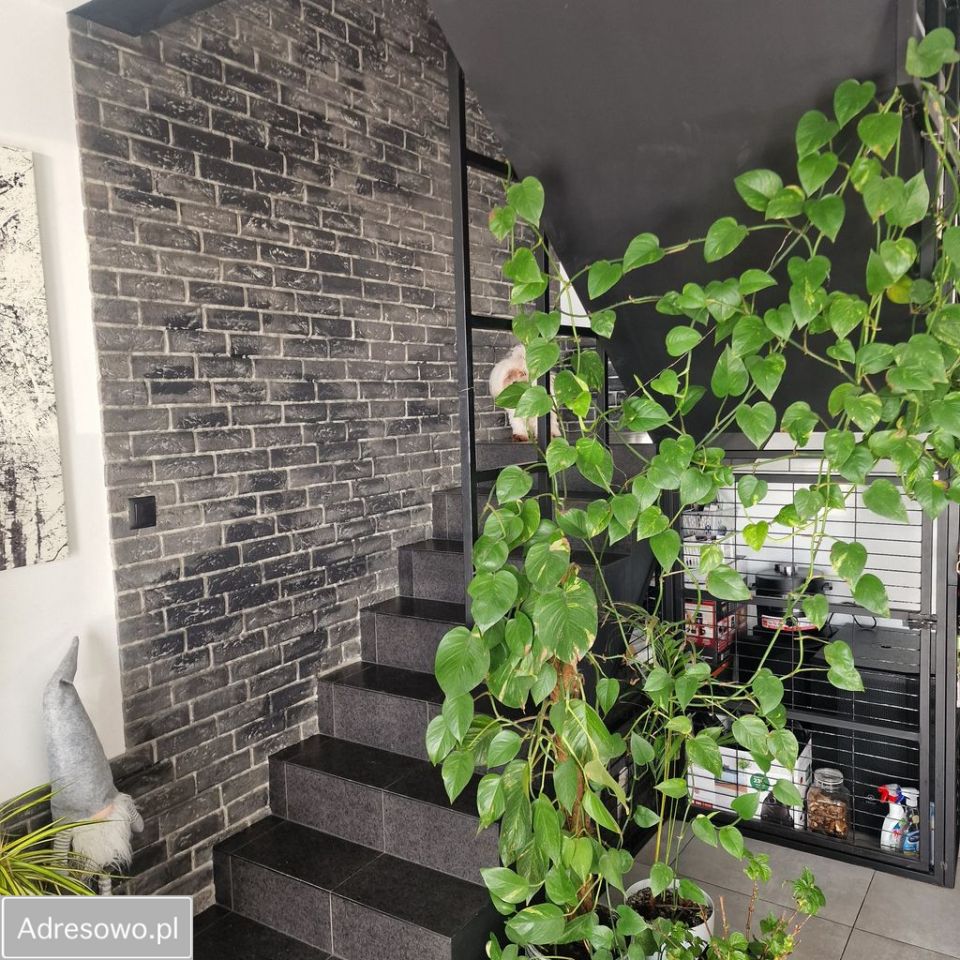 Mieszkanie 4-pokojowe Skarżysko-Kamienna, ul. Sienkiewicza. Zdjęcie 6