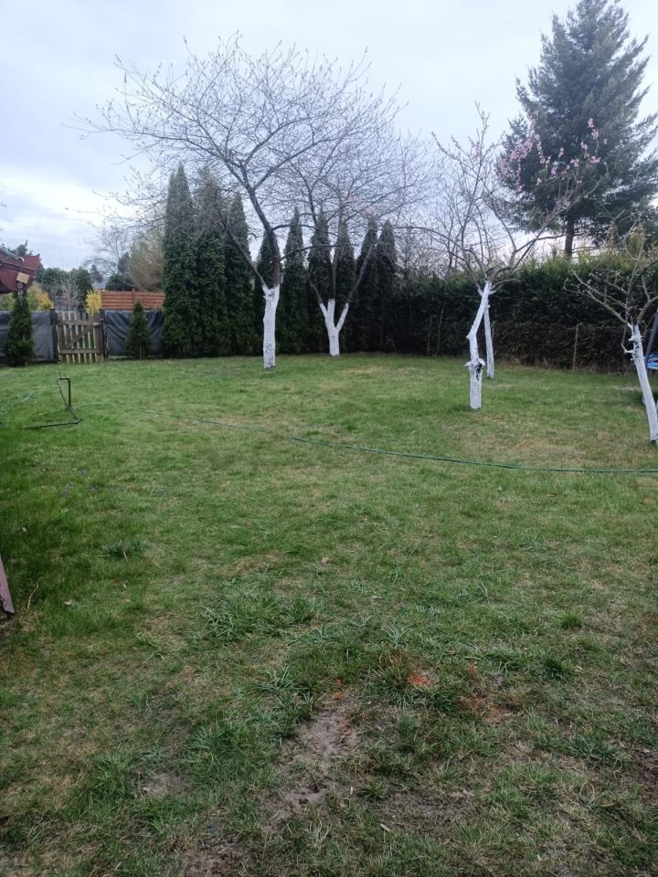 Działka rod Sępólno Krajeńskie. Zdjęcie 3