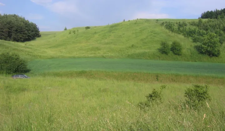 Działka budowlana Pacółtowo, ul. Kolorowa