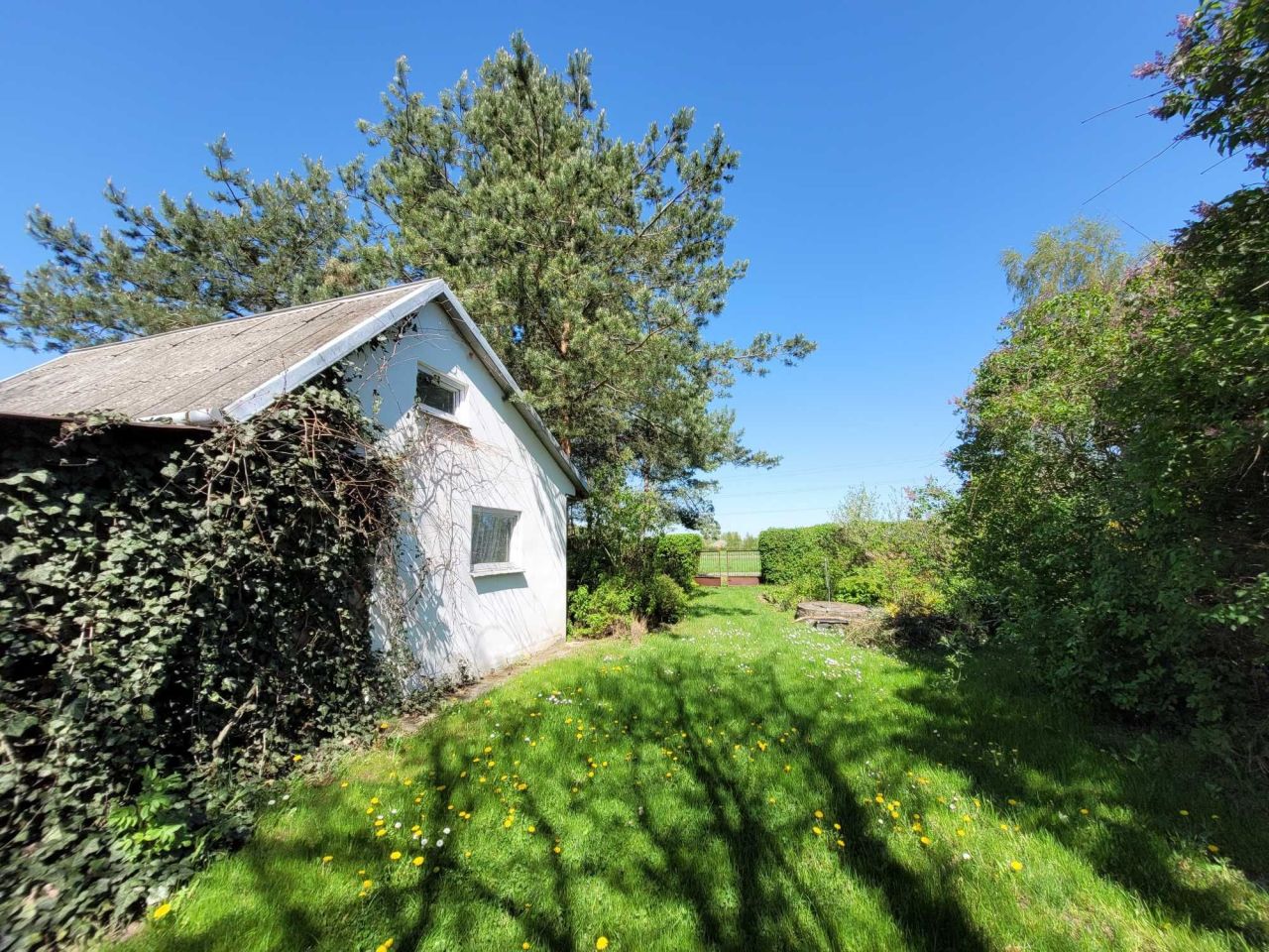 Działka budowlana Jaroszyn. Zdjęcie 8