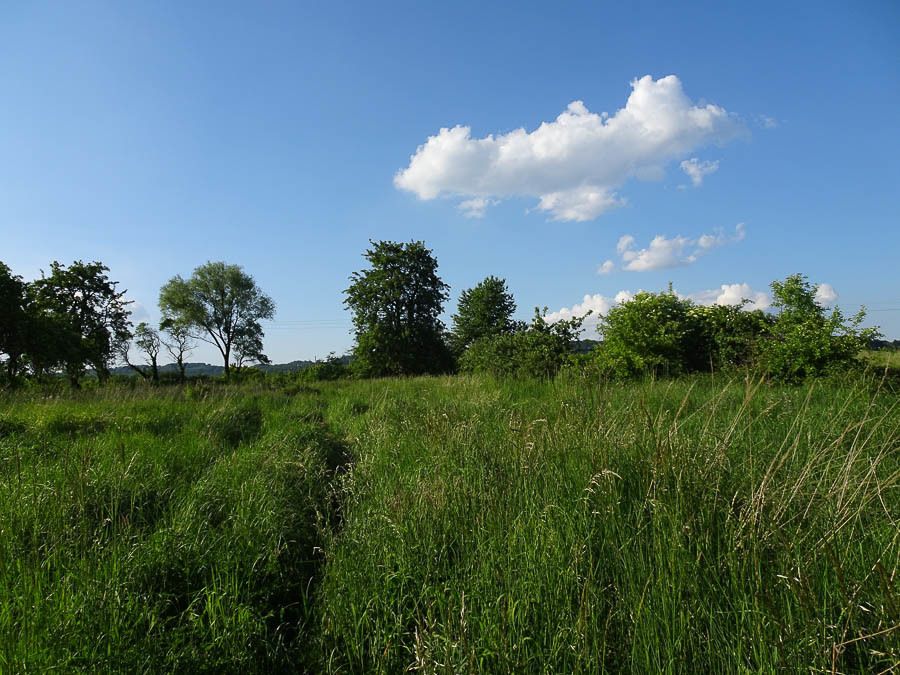 Działka budowlana Binowo. Zdjęcie 3