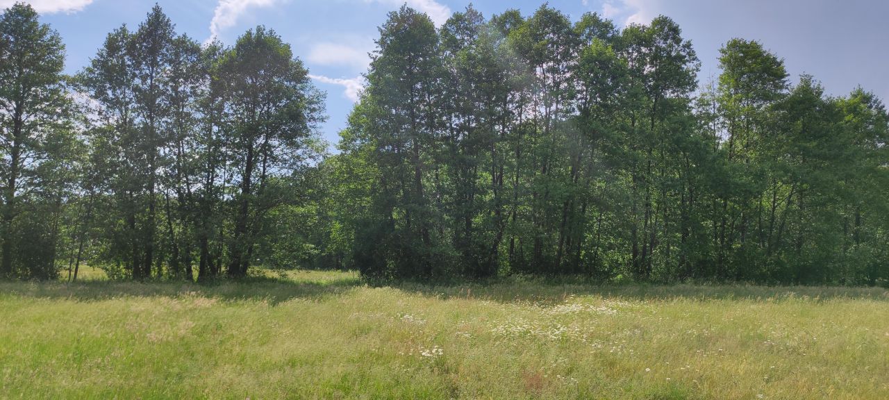 Działka rolno-budowlana Cisie, ul. Jesienna. Zdjęcie 21