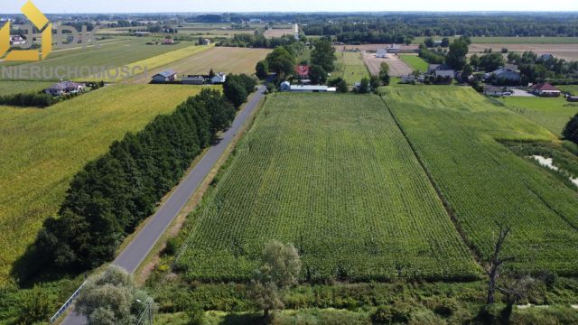 Działka budowlana Lubiejew. Zdjęcie 6