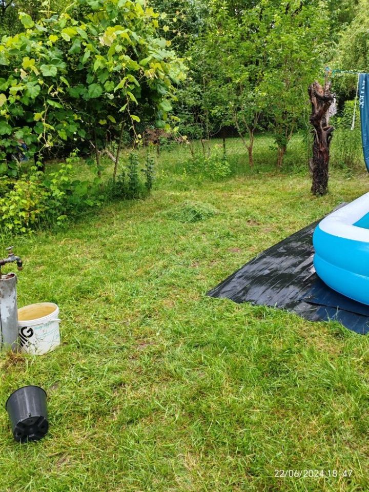 Działka rod Radom, ul. Ciborowska. Zdjęcie 7