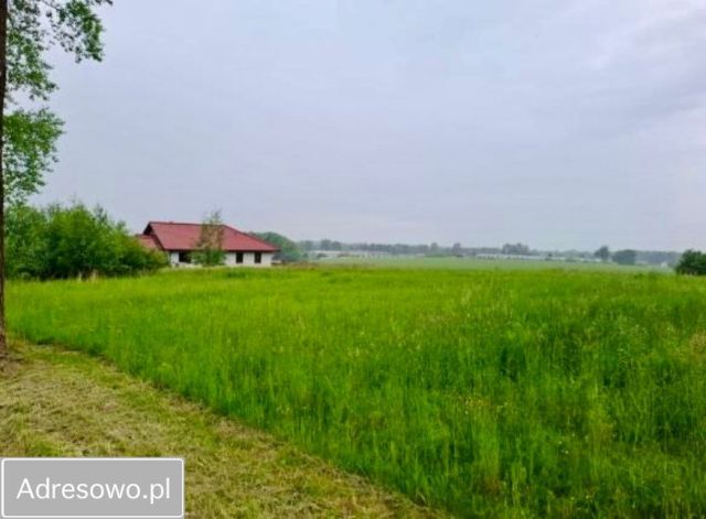 Działka budowlana Pisarzowice, ul. Krakowska. Zdjęcie 1
