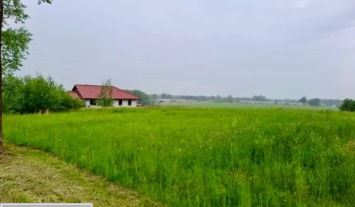 Działka budowlana Pisarzowice, ul. Krakowska