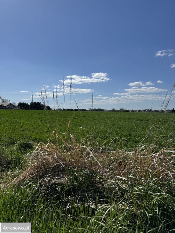 Działka rolna Wola Zabierzowska. Zdjęcie 3
