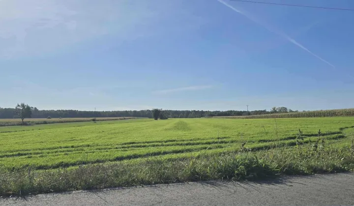 Działka rolno-budowlana Nasielsk, ul. Warszawska