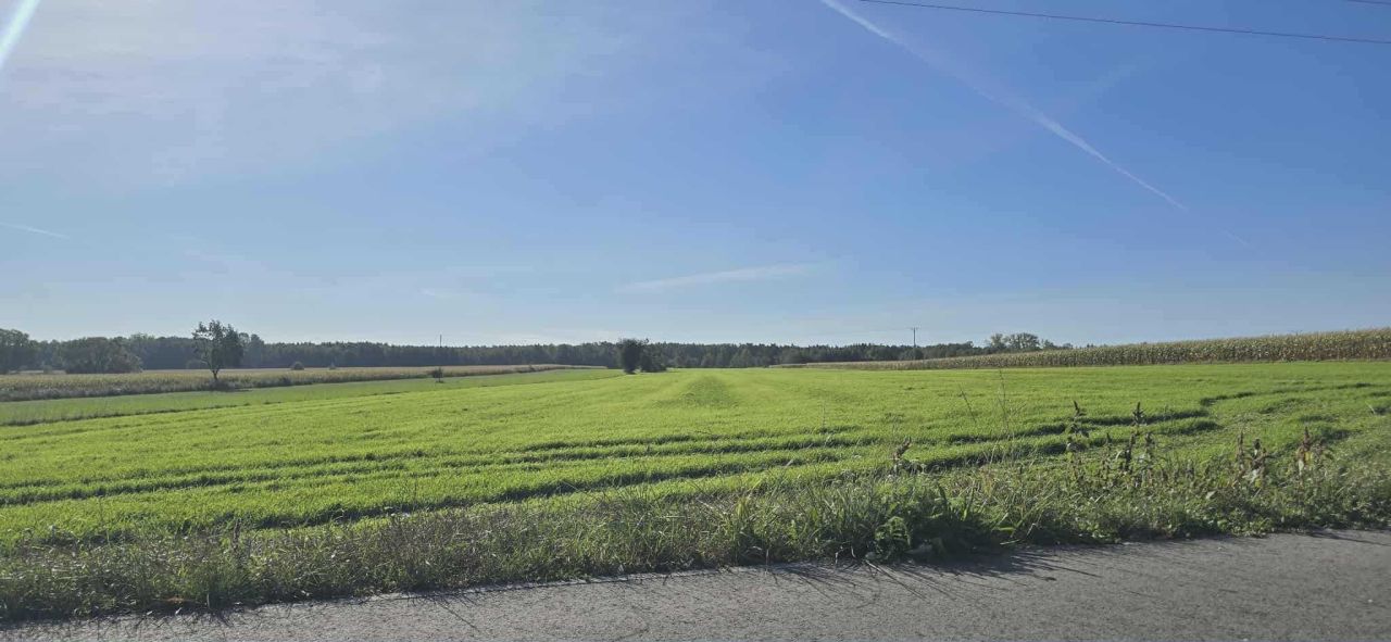 Działka rolno-budowlana Nasielsk, ul. Warszawska