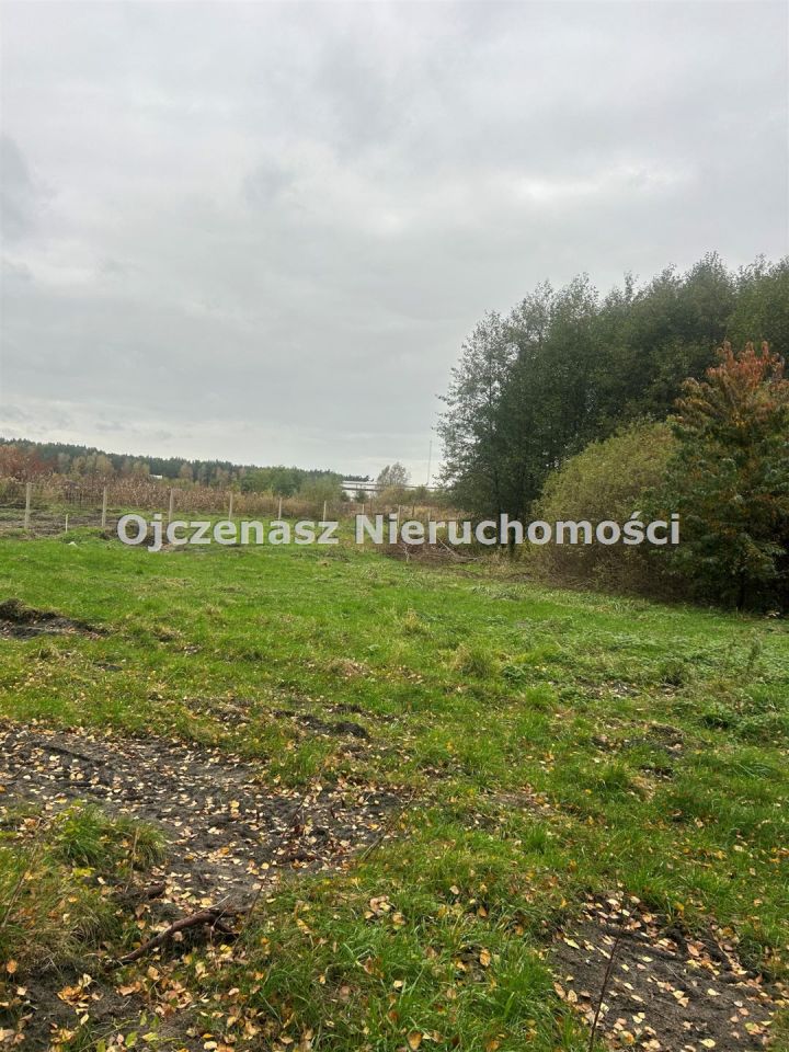 Działka rolna Kruszyn Krajeński. Zdjęcie 2