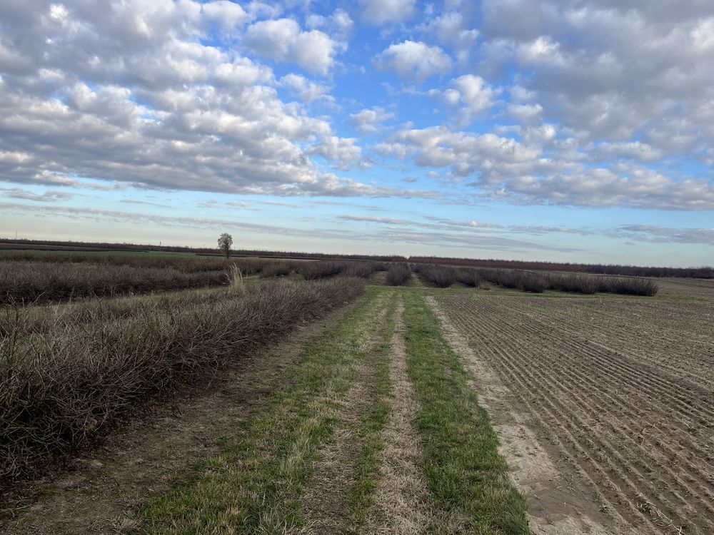 gospodarstwo, 2 pokoje Wierzchowiska Drugie. Zdjęcie 6