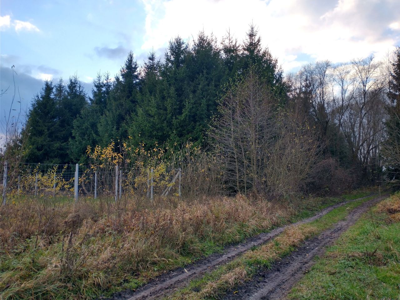 Działka rolna Ługi. Zdjęcie 10