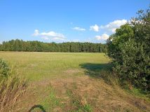 Działka rolna Radoszewice. Zdjęcie 1