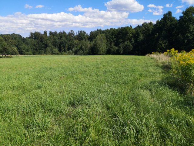 Działka budowlana Janowice. Zdjęcie 3