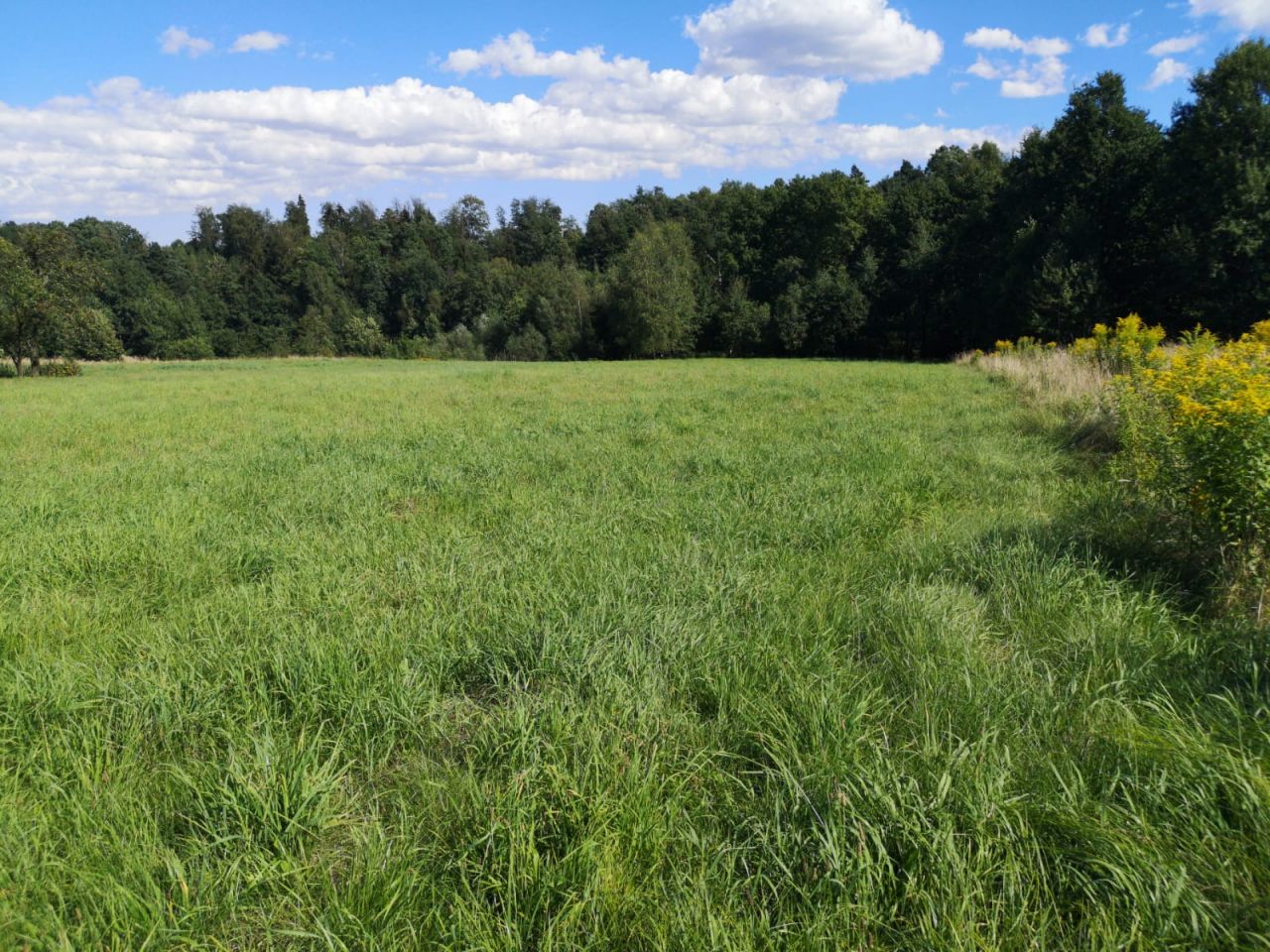 Działka budowlana Janowice. Zdjęcie 3