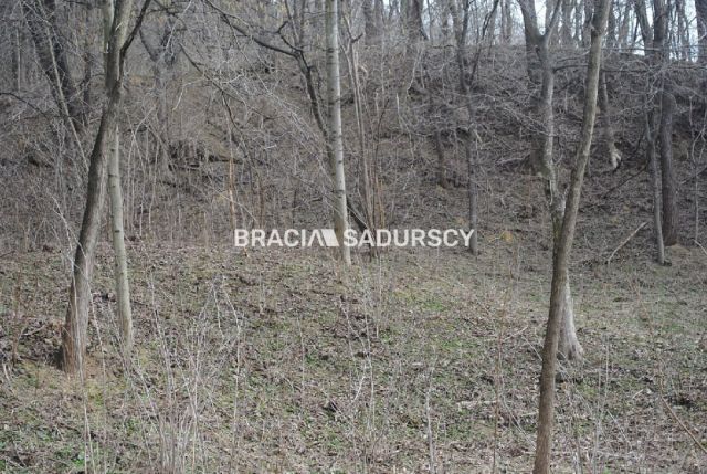 Działka leśna Malkowice. Zdjęcie 6