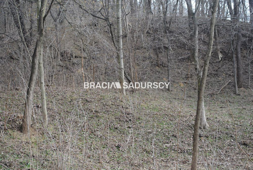 Działka leśna Malkowice. Zdjęcie 6
