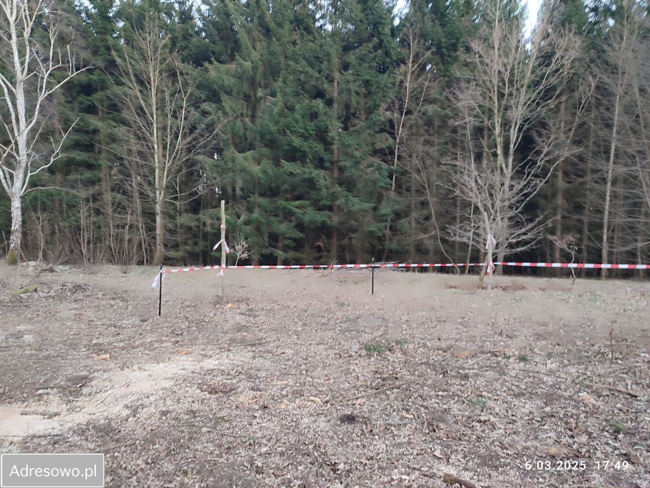 Działka budowlana Pustkowo. Zdjęcie 2